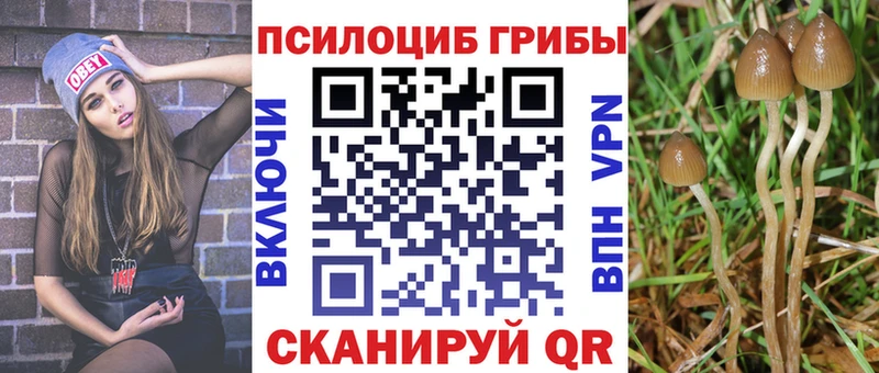 магазин    Цоци-Юрт  Псилоцибиновые грибы ЛСД 